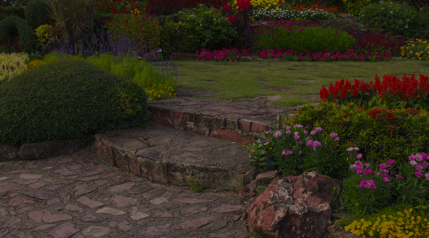 Complete Landscaping Services