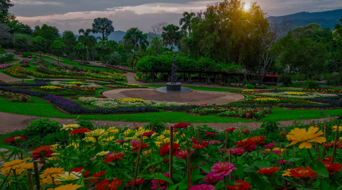 Complete Landscaping Services